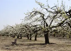 华体会入口 -vr鎇?钚晋Bi睠	潚妫晫?质豉UQf幰l的简单介绍